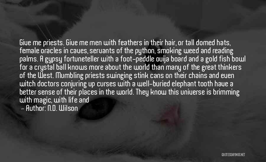 N.D. Wilson Quotes: Give Me Priests. Give Me Men With Feathers In Their Hair, Or Tall Domed Hats, Female Oracles In Caves, Servants