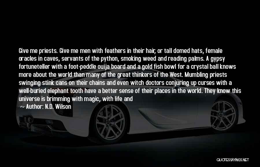 N.D. Wilson Quotes: Give Me Priests. Give Me Men With Feathers In Their Hair, Or Tall Domed Hats, Female Oracles In Caves, Servants