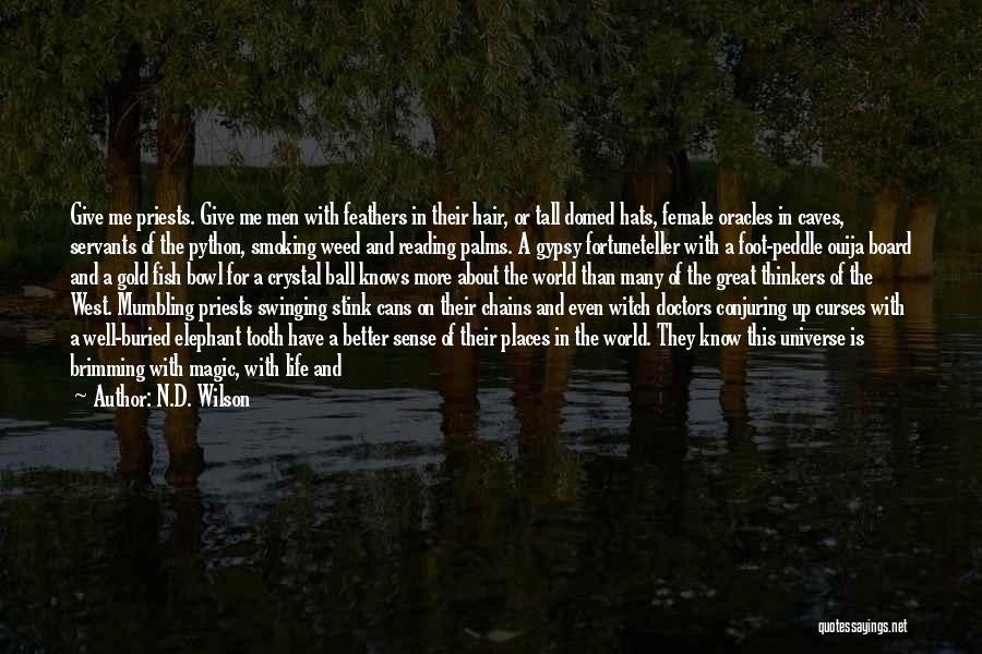 N.D. Wilson Quotes: Give Me Priests. Give Me Men With Feathers In Their Hair, Or Tall Domed Hats, Female Oracles In Caves, Servants