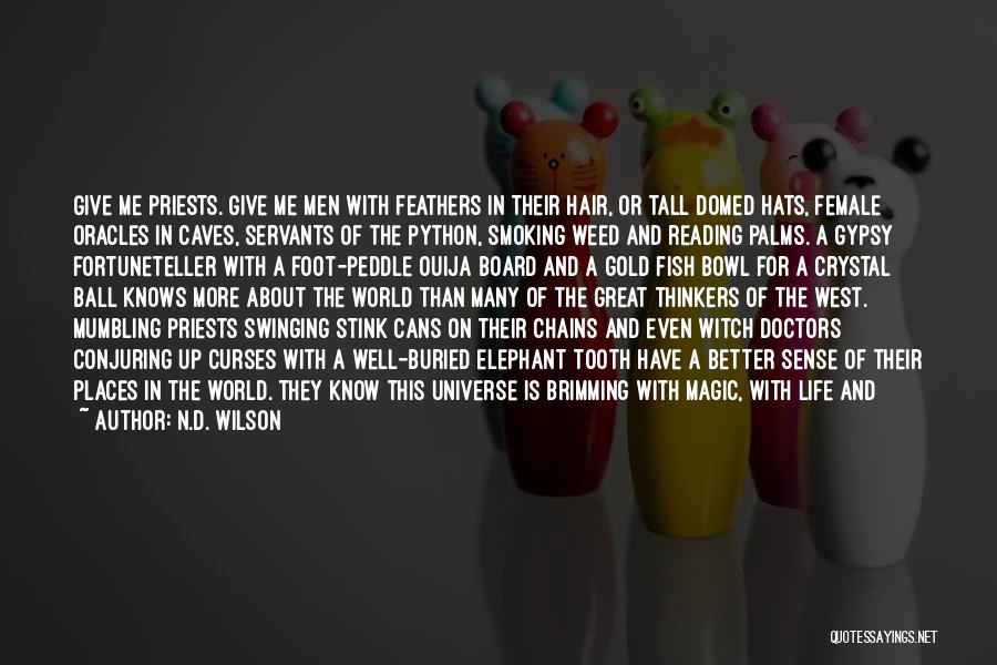 N.D. Wilson Quotes: Give Me Priests. Give Me Men With Feathers In Their Hair, Or Tall Domed Hats, Female Oracles In Caves, Servants