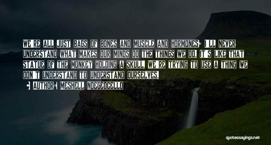 Meshell Ndegeocello Quotes: We're All Just Bags Of Bones And Muscle And Hormones; I'll Never Understand What Makes Our Minds Do The Things