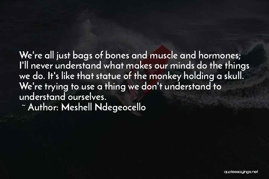 Meshell Ndegeocello Quotes: We're All Just Bags Of Bones And Muscle And Hormones; I'll Never Understand What Makes Our Minds Do The Things