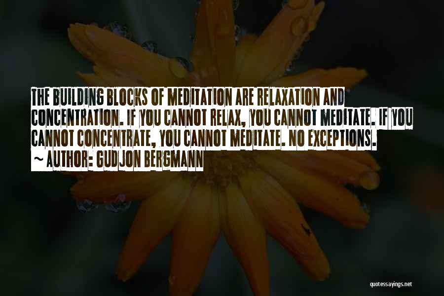 Gudjon Bergmann Quotes: The Building Blocks Of Meditation Are Relaxation And Concentration. If You Cannot Relax, You Cannot Meditate. If You Cannot Concentrate,