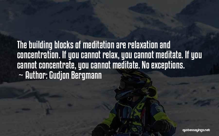 Gudjon Bergmann Quotes: The Building Blocks Of Meditation Are Relaxation And Concentration. If You Cannot Relax, You Cannot Meditate. If You Cannot Concentrate,