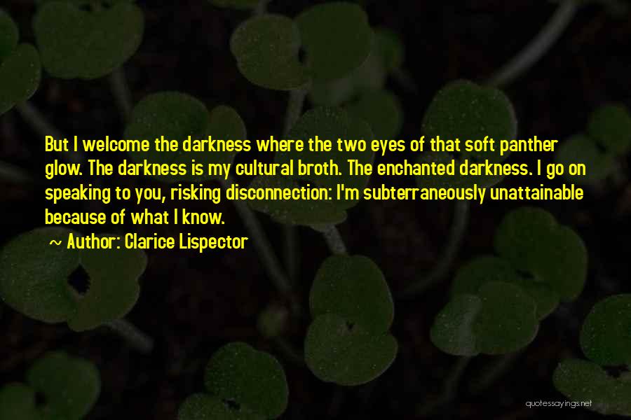 Clarice Lispector Quotes: But I Welcome The Darkness Where The Two Eyes Of That Soft Panther Glow. The Darkness Is My Cultural Broth.