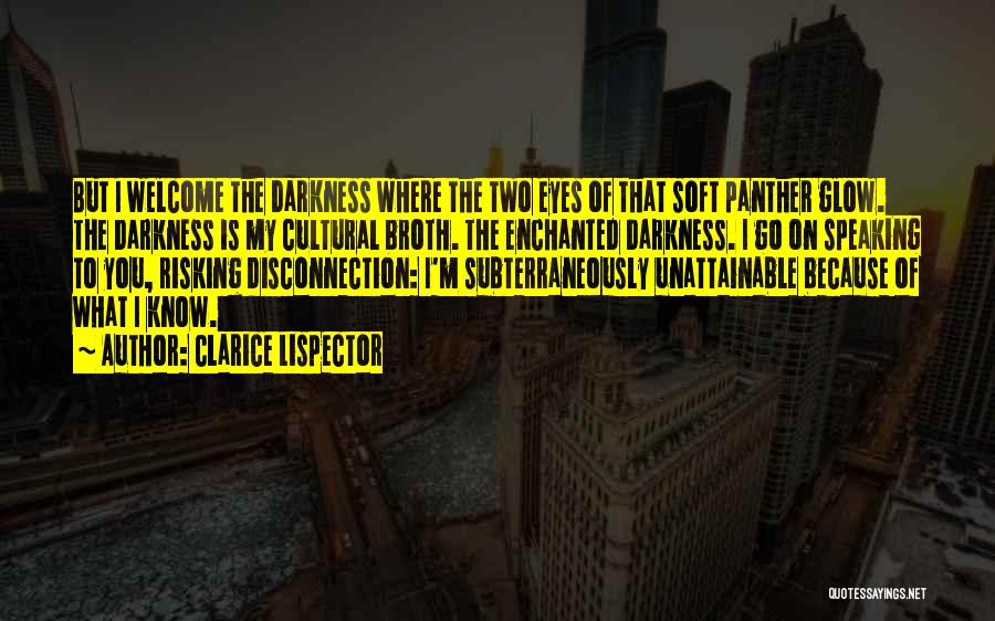 Clarice Lispector Quotes: But I Welcome The Darkness Where The Two Eyes Of That Soft Panther Glow. The Darkness Is My Cultural Broth.