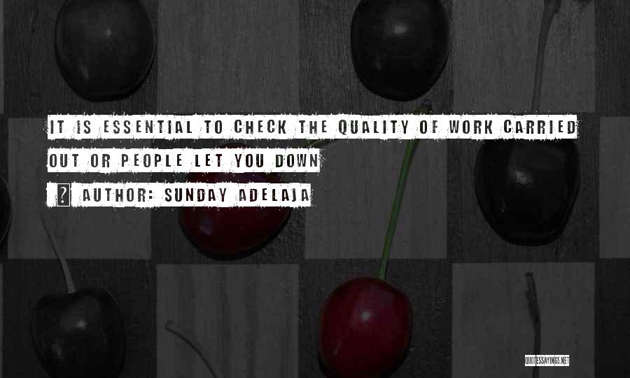 Sunday Adelaja Quotes: It Is Essential To Check The Quality Of Work Carried Out Or People Let You Down