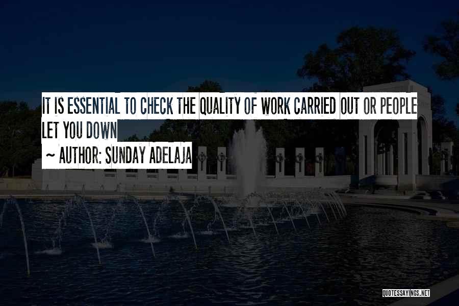 Sunday Adelaja Quotes: It Is Essential To Check The Quality Of Work Carried Out Or People Let You Down