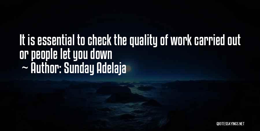 Sunday Adelaja Quotes: It Is Essential To Check The Quality Of Work Carried Out Or People Let You Down