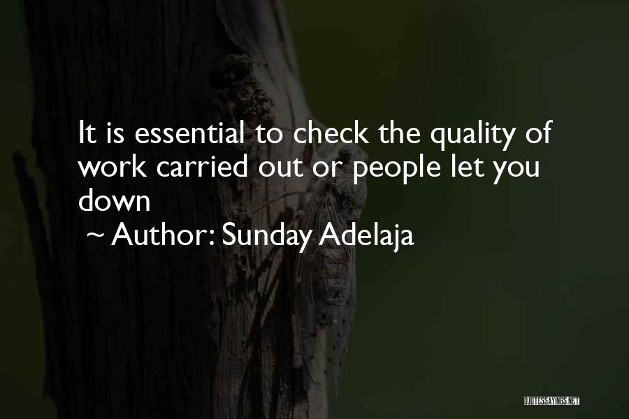 Sunday Adelaja Quotes: It Is Essential To Check The Quality Of Work Carried Out Or People Let You Down