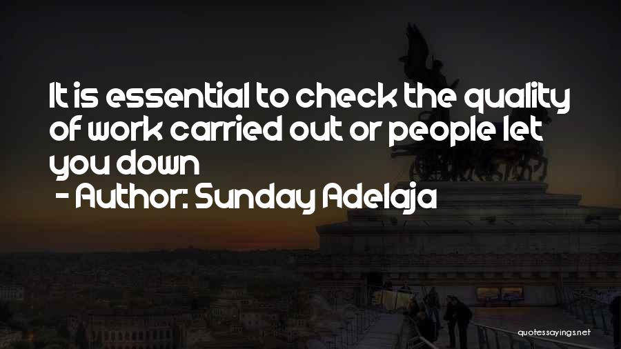 Sunday Adelaja Quotes: It Is Essential To Check The Quality Of Work Carried Out Or People Let You Down