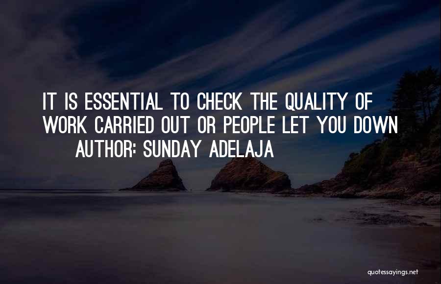 Sunday Adelaja Quotes: It Is Essential To Check The Quality Of Work Carried Out Or People Let You Down