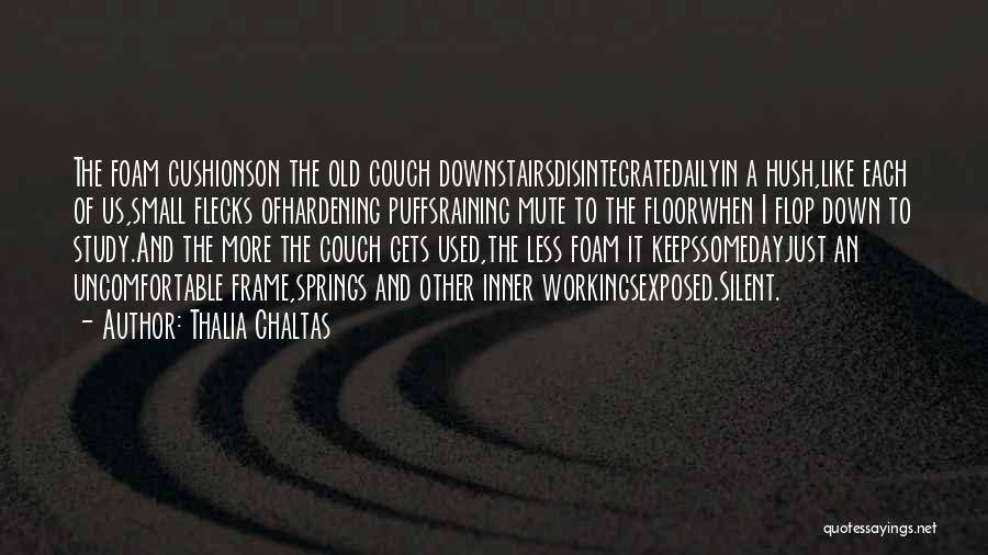 Thalia Chaltas Quotes: The Foam Cushionson The Old Couch Downstairsdisintegratedailyin A Hush,like Each Of Us,small Flecks Ofhardening Puffsraining Mute To The Floorwhen I