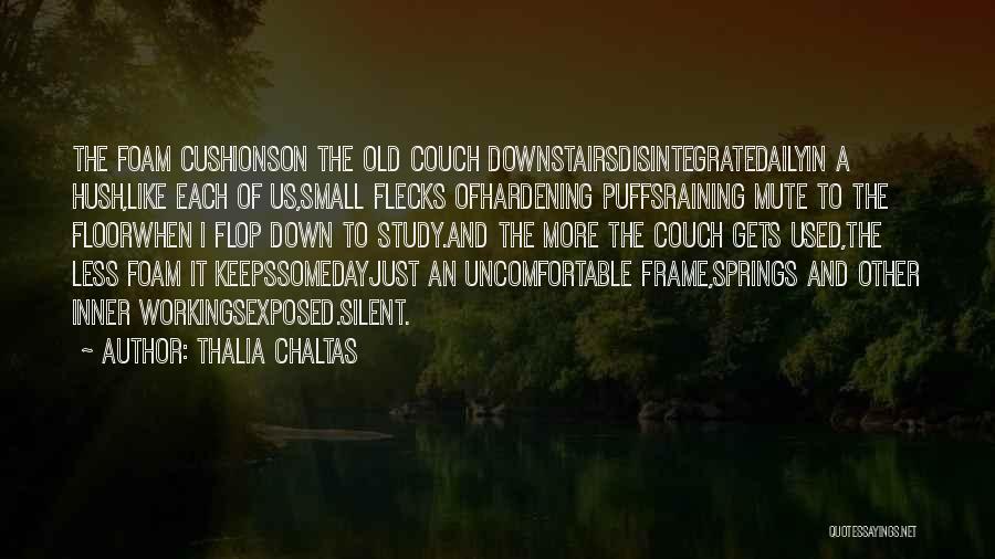 Thalia Chaltas Quotes: The Foam Cushionson The Old Couch Downstairsdisintegratedailyin A Hush,like Each Of Us,small Flecks Ofhardening Puffsraining Mute To The Floorwhen I