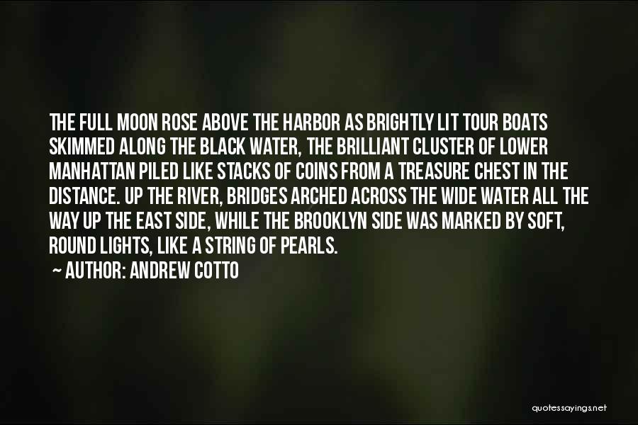 Andrew Cotto Quotes: The Full Moon Rose Above The Harbor As Brightly Lit Tour Boats Skimmed Along The Black Water, The Brilliant Cluster