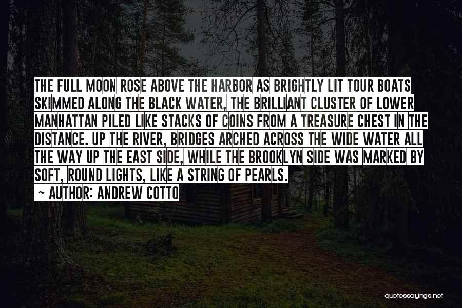 Andrew Cotto Quotes: The Full Moon Rose Above The Harbor As Brightly Lit Tour Boats Skimmed Along The Black Water, The Brilliant Cluster