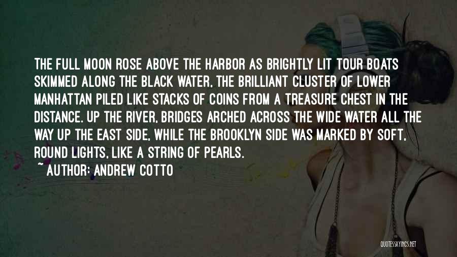 Andrew Cotto Quotes: The Full Moon Rose Above The Harbor As Brightly Lit Tour Boats Skimmed Along The Black Water, The Brilliant Cluster