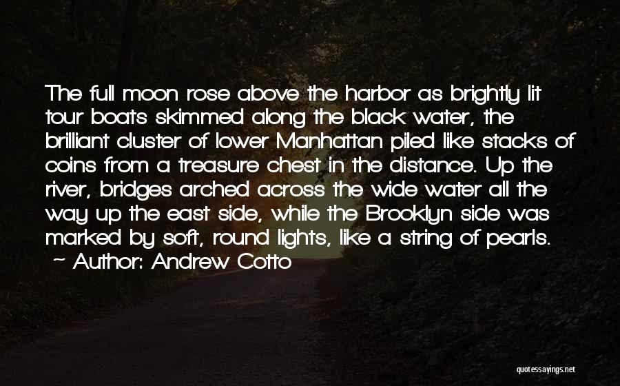 Andrew Cotto Quotes: The Full Moon Rose Above The Harbor As Brightly Lit Tour Boats Skimmed Along The Black Water, The Brilliant Cluster