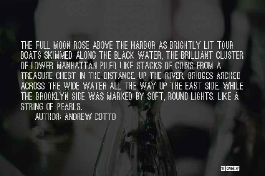 Andrew Cotto Quotes: The Full Moon Rose Above The Harbor As Brightly Lit Tour Boats Skimmed Along The Black Water, The Brilliant Cluster