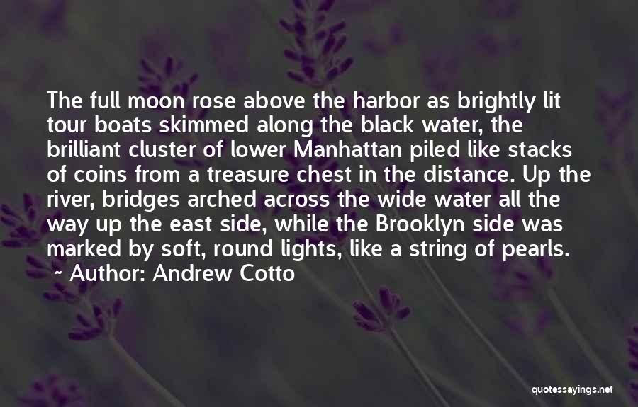 Andrew Cotto Quotes: The Full Moon Rose Above The Harbor As Brightly Lit Tour Boats Skimmed Along The Black Water, The Brilliant Cluster