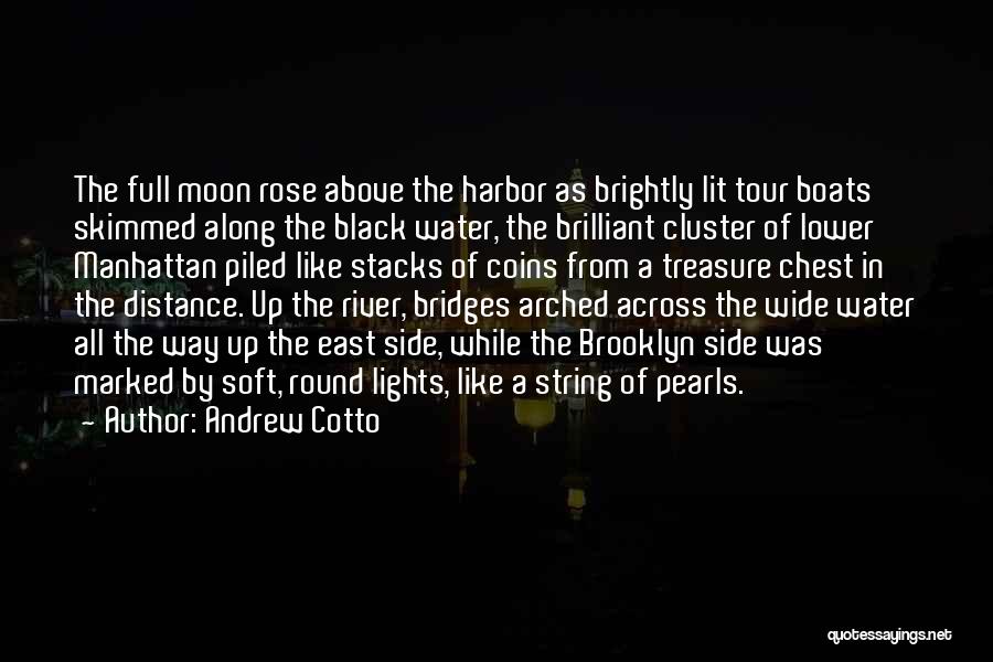 Andrew Cotto Quotes: The Full Moon Rose Above The Harbor As Brightly Lit Tour Boats Skimmed Along The Black Water, The Brilliant Cluster