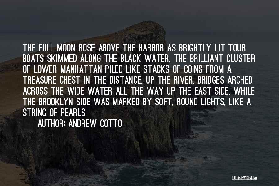 Andrew Cotto Quotes: The Full Moon Rose Above The Harbor As Brightly Lit Tour Boats Skimmed Along The Black Water, The Brilliant Cluster