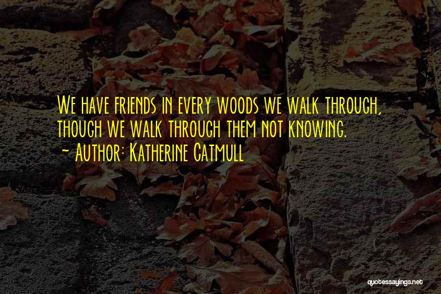 Katherine Catmull Quotes: We Have Friends In Every Woods We Walk Through, Though We Walk Through Them Not Knowing.