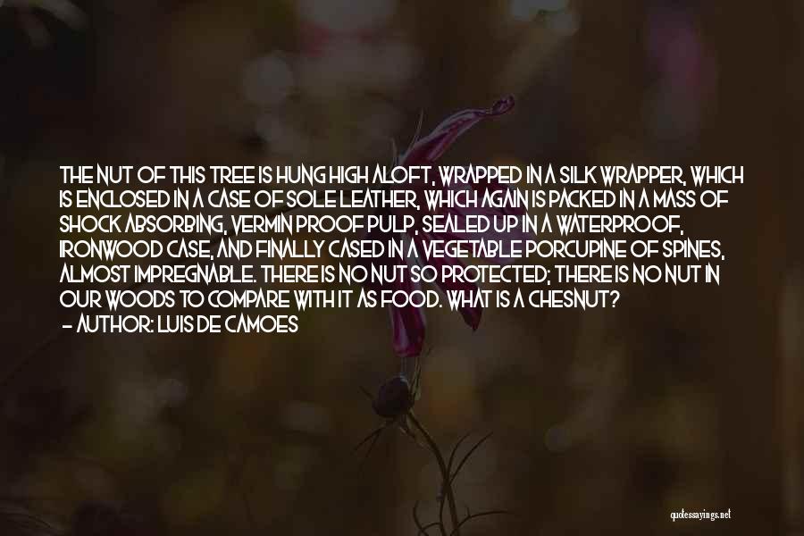 Luis De Camoes Quotes: The Nut Of This Tree Is Hung High Aloft, Wrapped In A Silk Wrapper, Which Is Enclosed In A Case