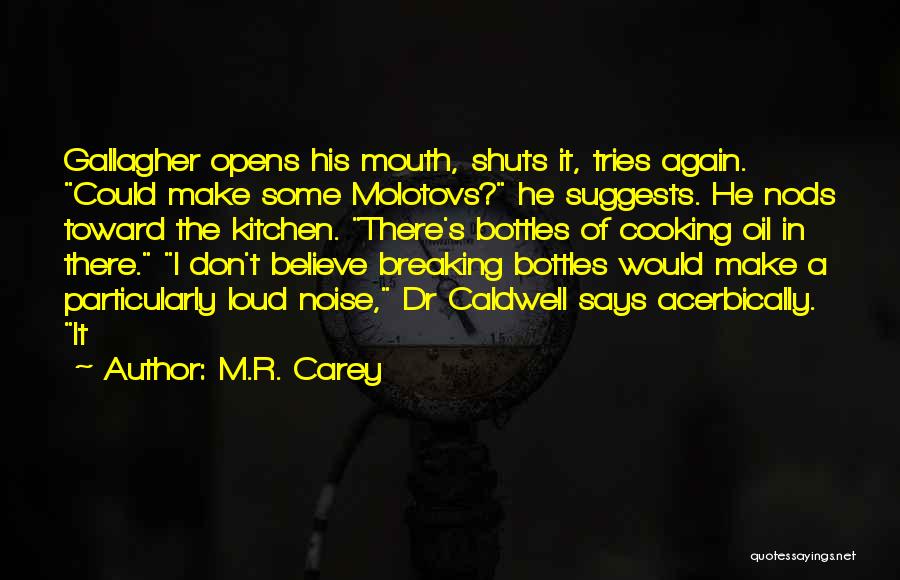 M.R. Carey Quotes: Gallagher Opens His Mouth, Shuts It, Tries Again. Could Make Some Molotovs? He Suggests. He Nods Toward The Kitchen. There's