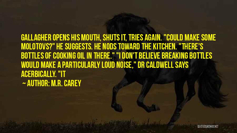 M.R. Carey Quotes: Gallagher Opens His Mouth, Shuts It, Tries Again. Could Make Some Molotovs? He Suggests. He Nods Toward The Kitchen. There's