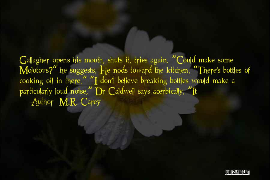 M.R. Carey Quotes: Gallagher Opens His Mouth, Shuts It, Tries Again. Could Make Some Molotovs? He Suggests. He Nods Toward The Kitchen. There's