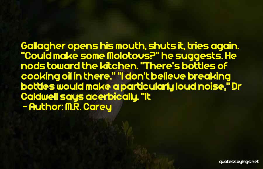 M.R. Carey Quotes: Gallagher Opens His Mouth, Shuts It, Tries Again. Could Make Some Molotovs? He Suggests. He Nods Toward The Kitchen. There's