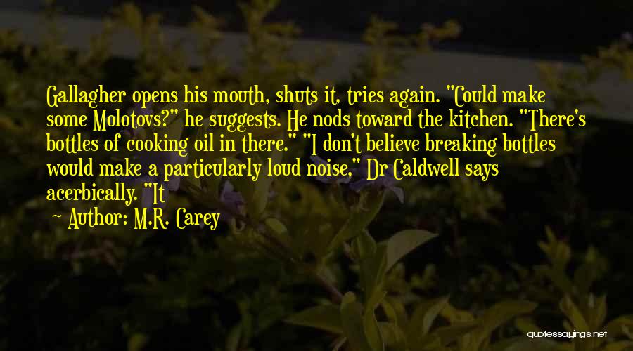 M.R. Carey Quotes: Gallagher Opens His Mouth, Shuts It, Tries Again. Could Make Some Molotovs? He Suggests. He Nods Toward The Kitchen. There's