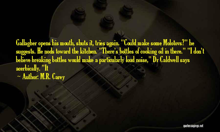 M.R. Carey Quotes: Gallagher Opens His Mouth, Shuts It, Tries Again. Could Make Some Molotovs? He Suggests. He Nods Toward The Kitchen. There's