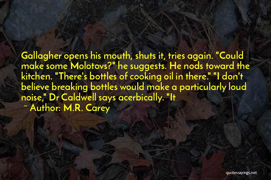 M.R. Carey Quotes: Gallagher Opens His Mouth, Shuts It, Tries Again. Could Make Some Molotovs? He Suggests. He Nods Toward The Kitchen. There's