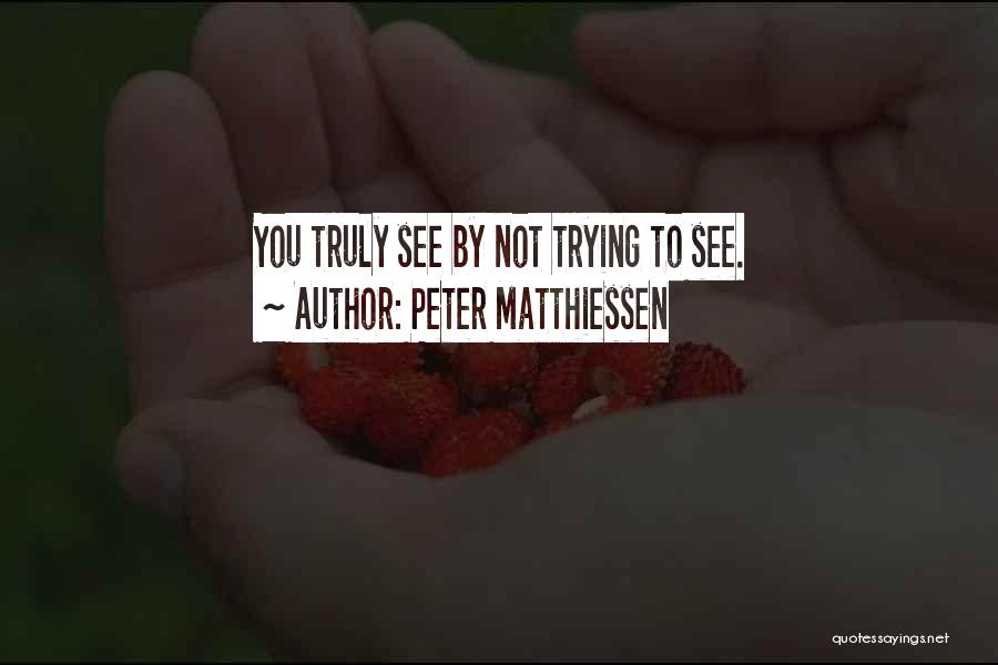 Peter Matthiessen Quotes: You Truly See By Not Trying To See.