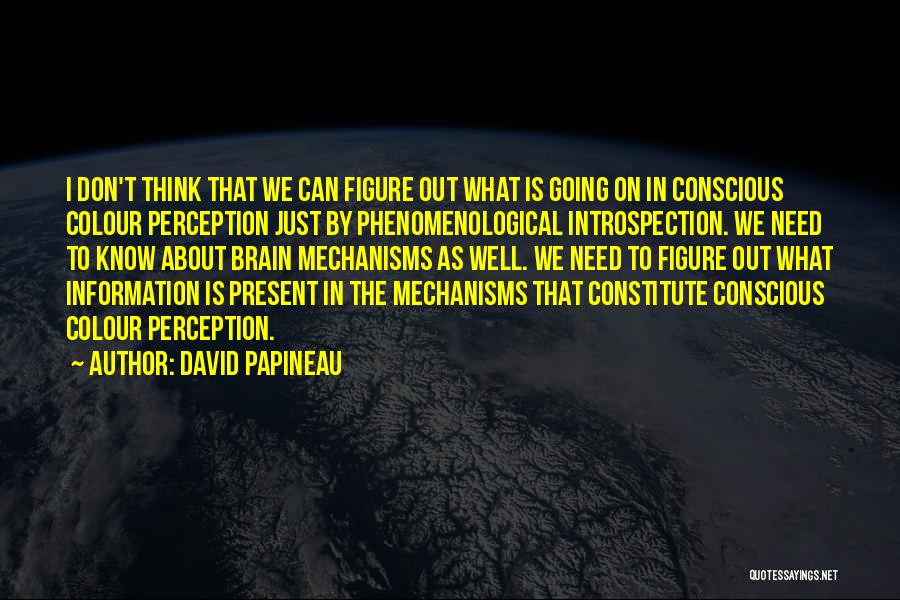 David Papineau Quotes: I Don't Think That We Can Figure Out What Is Going On In Conscious Colour Perception Just By Phenomenological Introspection.