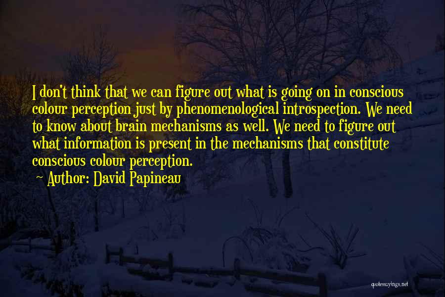 David Papineau Quotes: I Don't Think That We Can Figure Out What Is Going On In Conscious Colour Perception Just By Phenomenological Introspection.