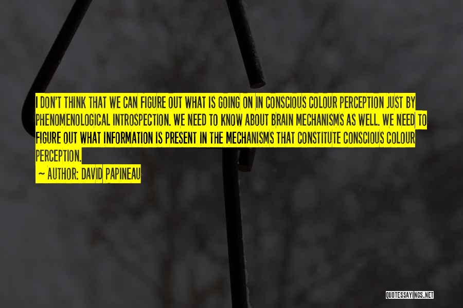 David Papineau Quotes: I Don't Think That We Can Figure Out What Is Going On In Conscious Colour Perception Just By Phenomenological Introspection.