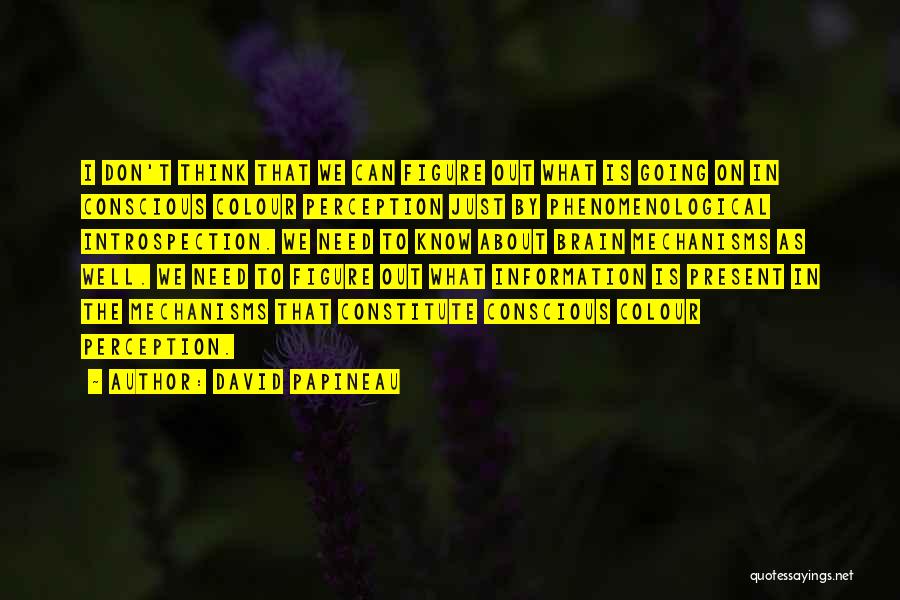 David Papineau Quotes: I Don't Think That We Can Figure Out What Is Going On In Conscious Colour Perception Just By Phenomenological Introspection.