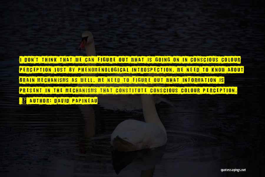 David Papineau Quotes: I Don't Think That We Can Figure Out What Is Going On In Conscious Colour Perception Just By Phenomenological Introspection.