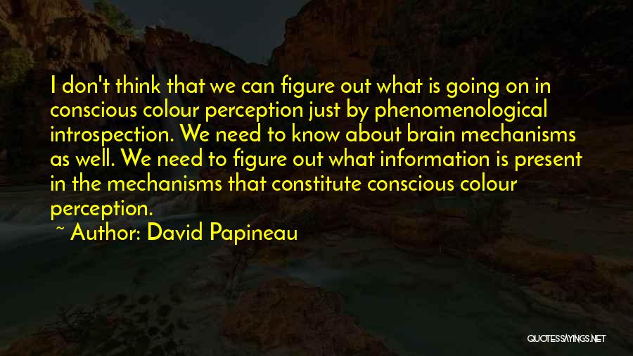 David Papineau Quotes: I Don't Think That We Can Figure Out What Is Going On In Conscious Colour Perception Just By Phenomenological Introspection.