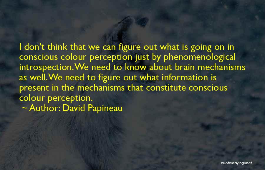 David Papineau Quotes: I Don't Think That We Can Figure Out What Is Going On In Conscious Colour Perception Just By Phenomenological Introspection.