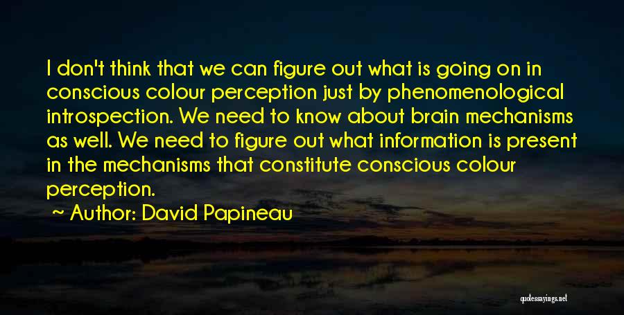 David Papineau Quotes: I Don't Think That We Can Figure Out What Is Going On In Conscious Colour Perception Just By Phenomenological Introspection.