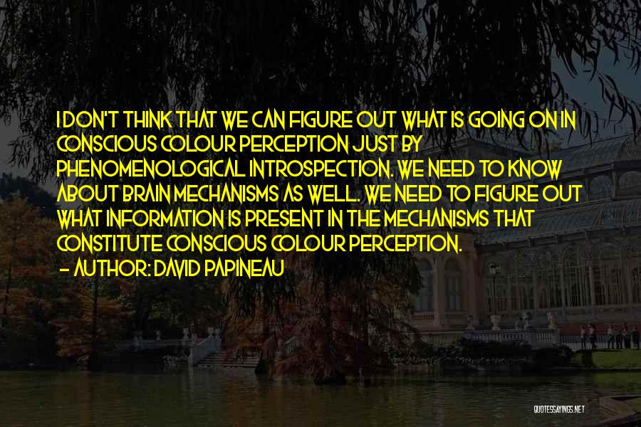 David Papineau Quotes: I Don't Think That We Can Figure Out What Is Going On In Conscious Colour Perception Just By Phenomenological Introspection.