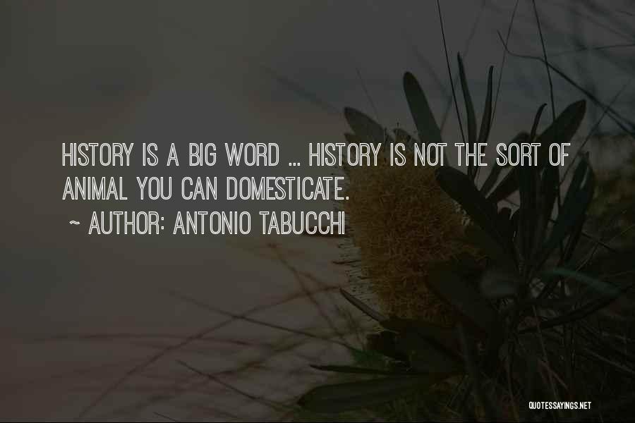 Antonio Tabucchi Quotes: History Is A Big Word ... History Is Not The Sort Of Animal You Can Domesticate.