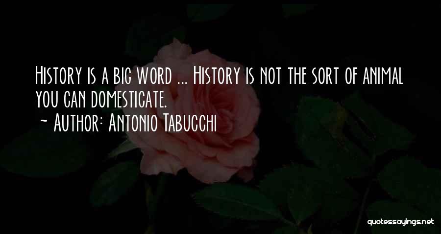 Antonio Tabucchi Quotes: History Is A Big Word ... History Is Not The Sort Of Animal You Can Domesticate.