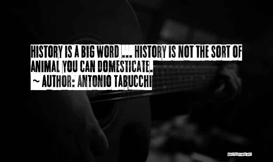 Antonio Tabucchi Quotes: History Is A Big Word ... History Is Not The Sort Of Animal You Can Domesticate.