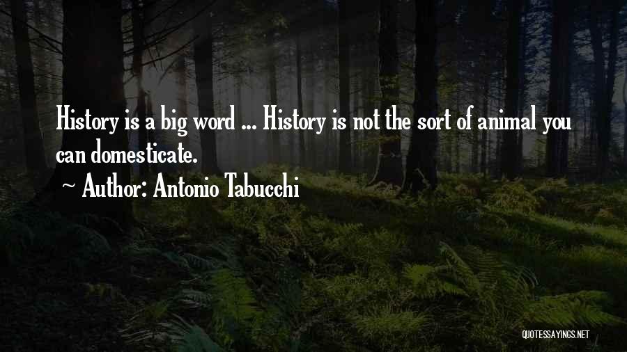 Antonio Tabucchi Quotes: History Is A Big Word ... History Is Not The Sort Of Animal You Can Domesticate.