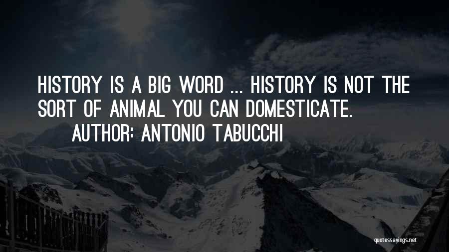 Antonio Tabucchi Quotes: History Is A Big Word ... History Is Not The Sort Of Animal You Can Domesticate.